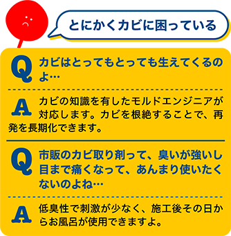 とにかくカビに困ってる