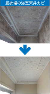 脱衣所の浴室天井カビ
