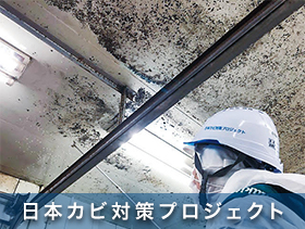 特殊洗浄事業　日本カビ対策プロジェクト